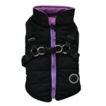 Dog zipper jacket