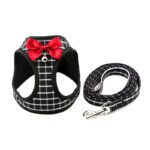 Cat Chain Traction Rope Set, Chest Harness, Cat Harness, Cat Collar, Dog Leash