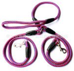 Double-Ended Traction Rope For Walking The Dog Hand-Double-Ended Traction Rope One Plus Two Leash Collar Pet Supplies Dog Collar