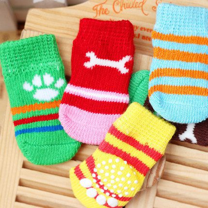 The dog dog socks