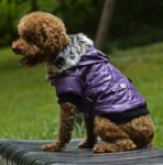 Cross-border pet supplies pet clothes dog clothes autumn and winter fur collar coat pet dog clothing