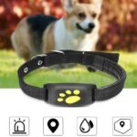 GPS Pet Tracker
