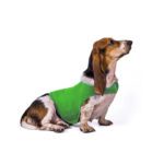 Anxiety Jacket Vest Summer Medical Treatment To Calm Down Cat Clothes Dog Comfort Clothes