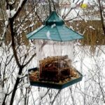Waterproof hanging bird food box
