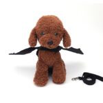 Pet Dog Halloween Wings Cool Black Bat