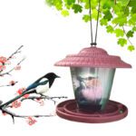 Plastic transparent bird feeder