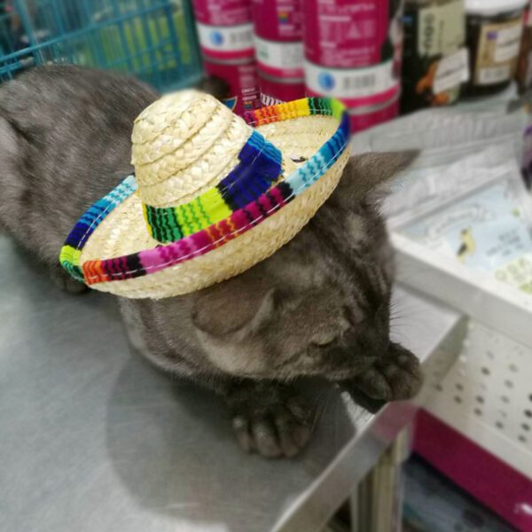 Pet Supplies Straw Woven Mini Pet Dog Straw Hat Pet Mexican Straw Hat Pet Cat Sun Hat