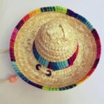 Pet Supplies Straw Woven Mini Pet Dog Straw Hat Pet Mexican Straw Hat Pet Cat Sun Hat