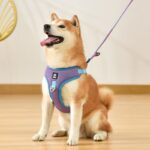 Pet Dog Harness Puppy Adjustable Breathable Mesh Reflective Saddle For Small Medium Dogs Cats Pet Supplies