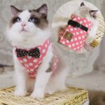 Vest-style Chest Strap For Cats