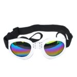 Pet Dog, Cat, Sunglasses, Glasses, Sun Glasses, Big Dog, Sun Visor, Pet Dog, Sunglasses