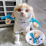 Halloween Christmas Wig Pet Hair Accessories