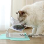 Non Slip Double Cat Bowl With Raised Stand Pet Food Cat Feeder Protect Cervical Vertebra Dog Bowl Transparent Pet Products