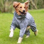 Raincoat Outdoor Waterproof Reflective Coat For Large Dogs And Pets