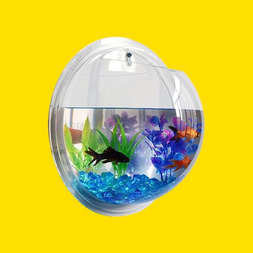 fish tanks