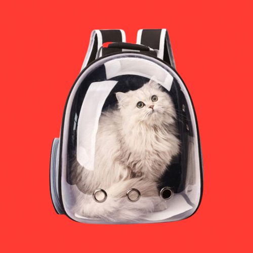 pet bags