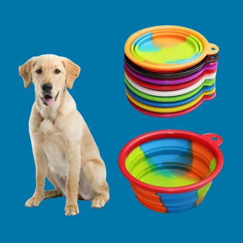 pet drinking & feeding