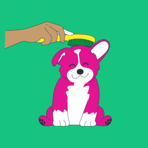 pet hair accessories