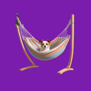 pet hammock