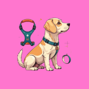 pet harness , leash and collar set